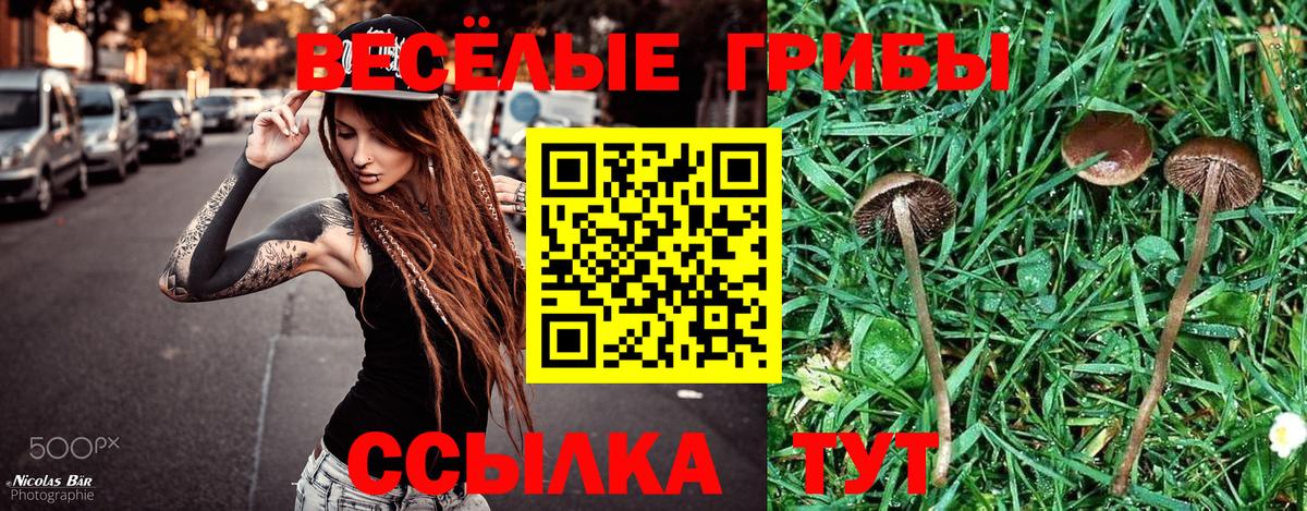 Комсомольск-на-Амуре  Псилоцибиновые грибы Cubensis  даркнет сайт  Вход с VPN 